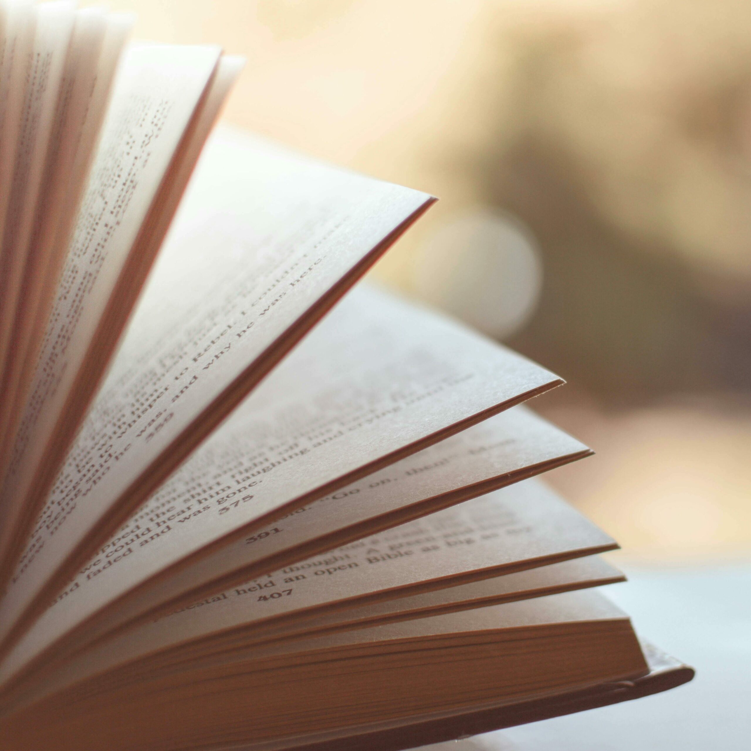 un livre ouvert sur plusieurs pages figure sur cette image pour indiquer comment se déroule l'étape de l'impression