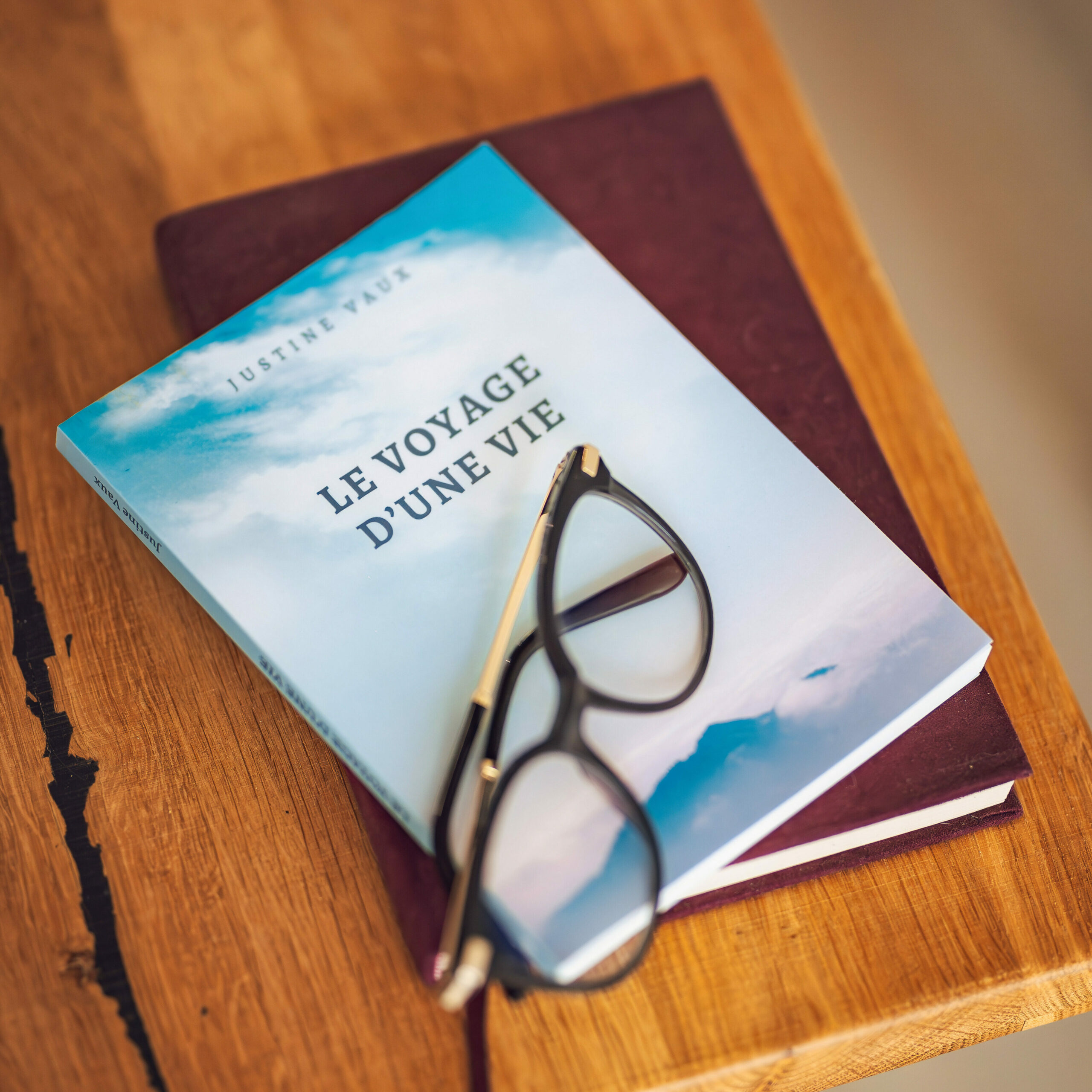 photo du roman de Justine VAUX biographe : le voyage d'une vie.