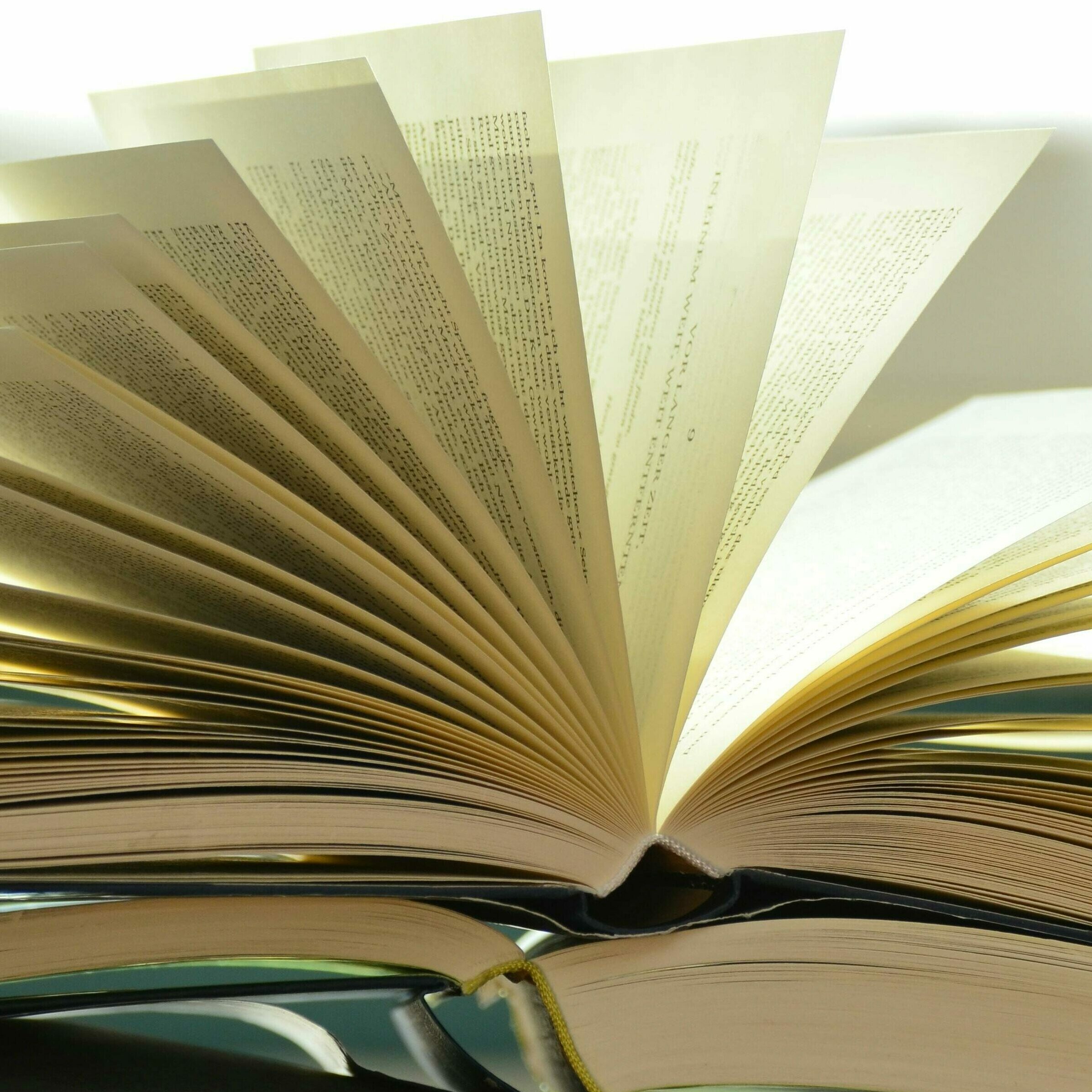 L'impression d'un livre de vie un livre est ouvert à plat avec des feuilles en l'air. Cela représente la phase de l'impression de la biographie.